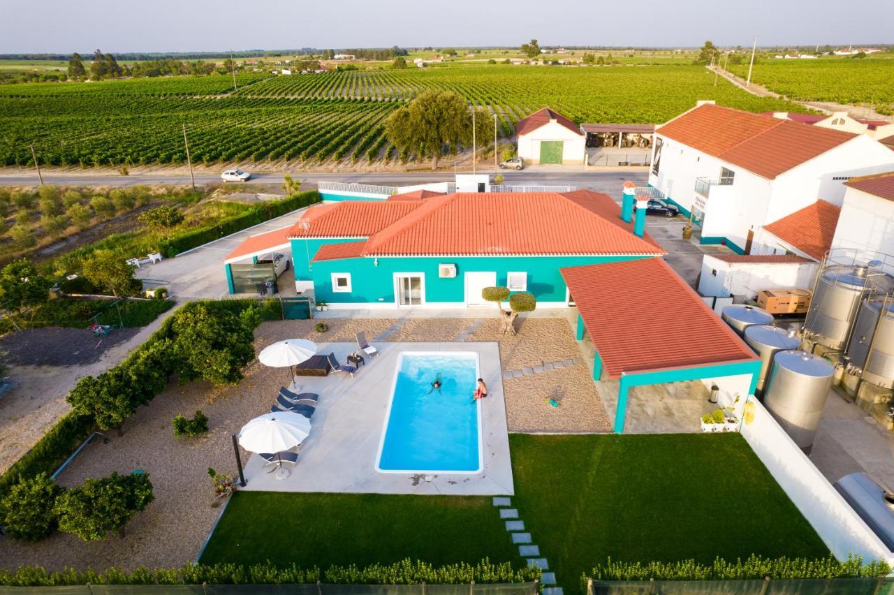 Delmira Vineyard House Villa Águas de Moura Kültér fotó